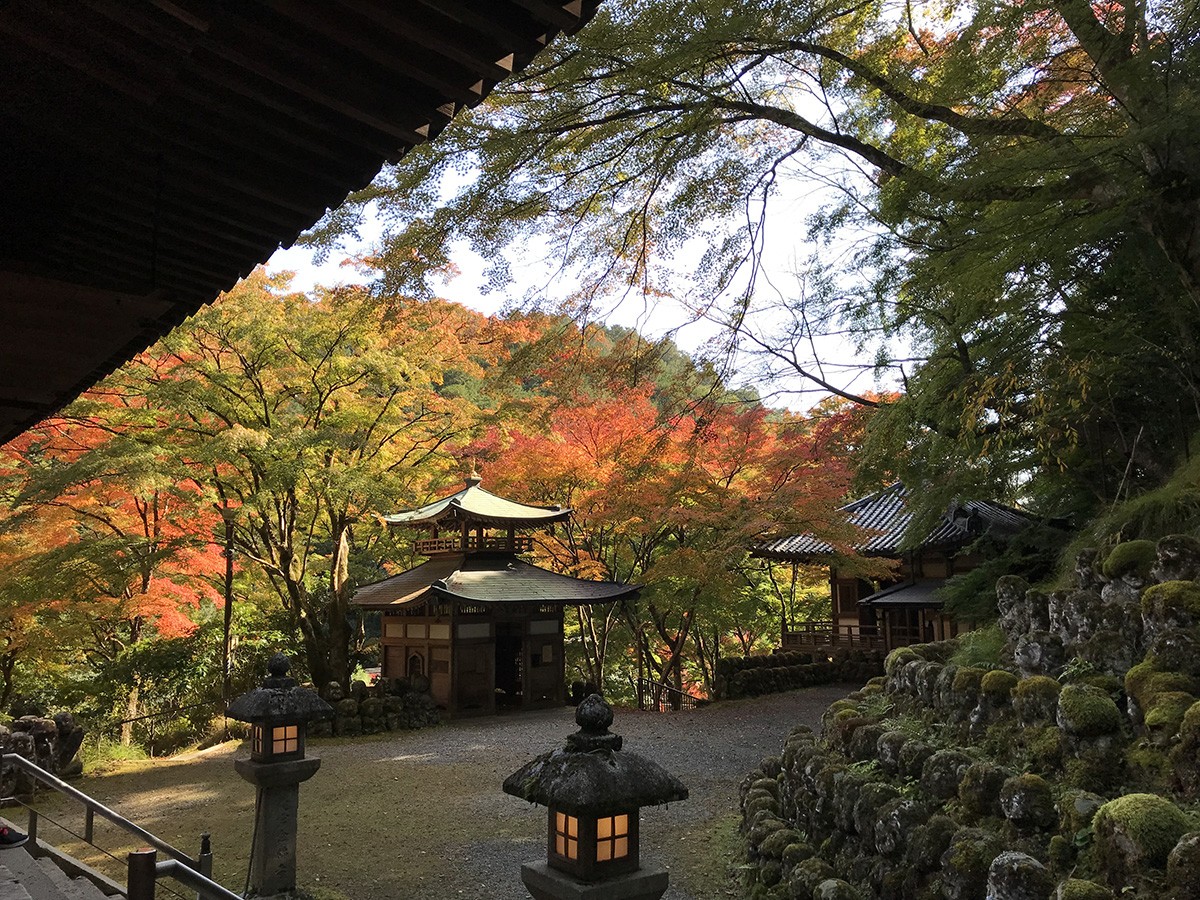 愛宕念佛寺 京都賞楓熱門景點 神劍闖江湖聖地
