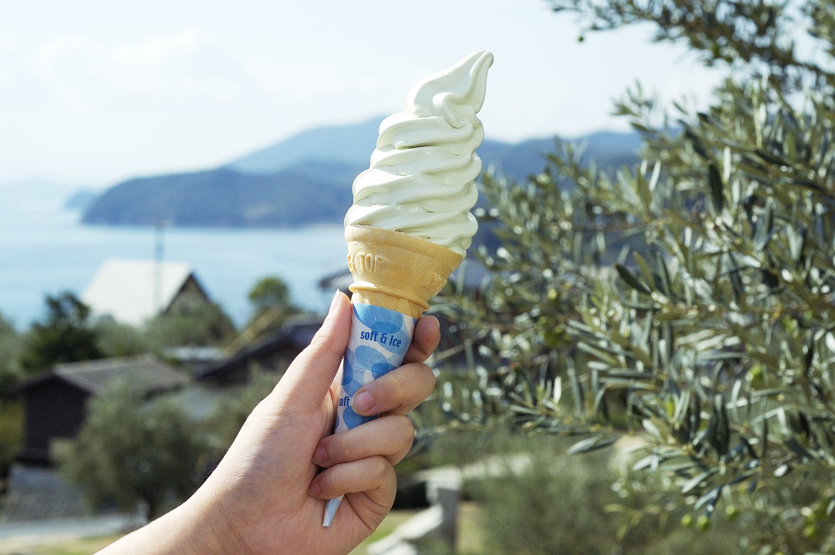 Olive Soft Serve Kagawa