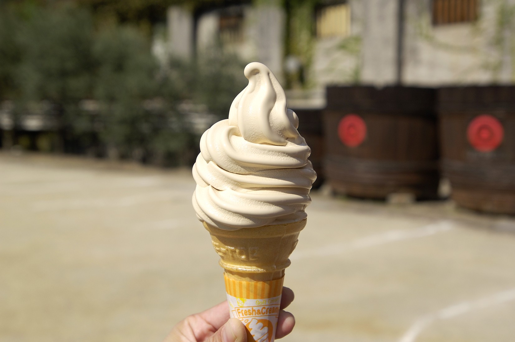 Soy Sauce Soft Serve Kagawa