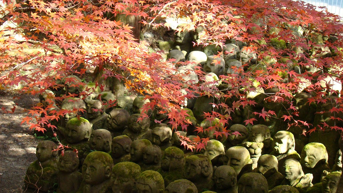 愛宕念佛寺 京都賞楓熱門景點 神劍闖江湖聖地