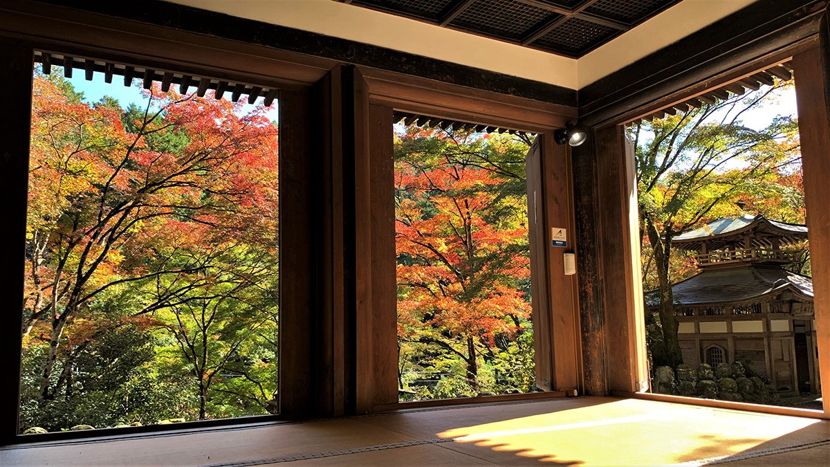 愛宕念佛寺 京都賞楓熱門景點 神劍闖江湖聖地