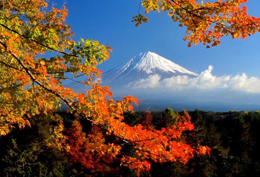 【Chubu】Breathtaking view of Mount Fuji and autumn leaves