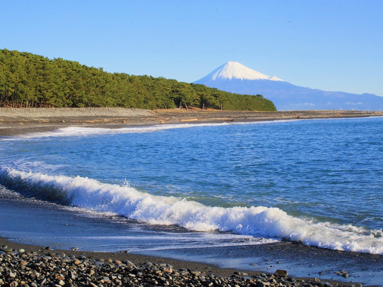 靜岡