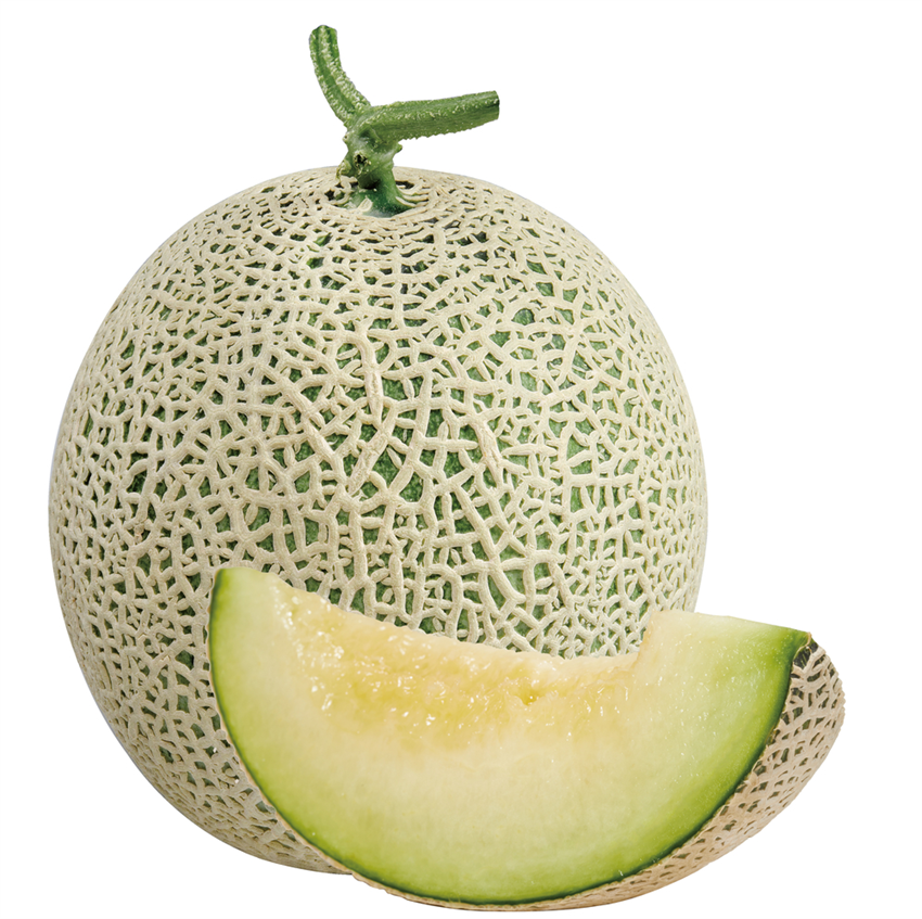 Manis dan Juicy Inilah keunggulan buah  Jepang Edisi Melon 