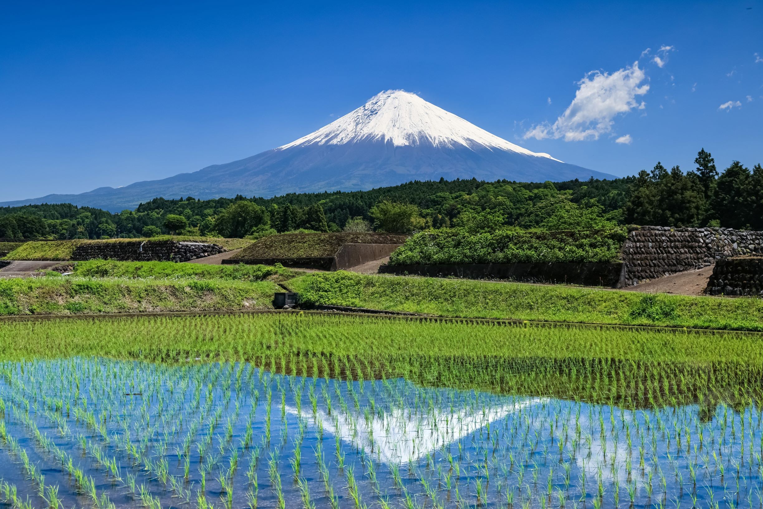 富士山