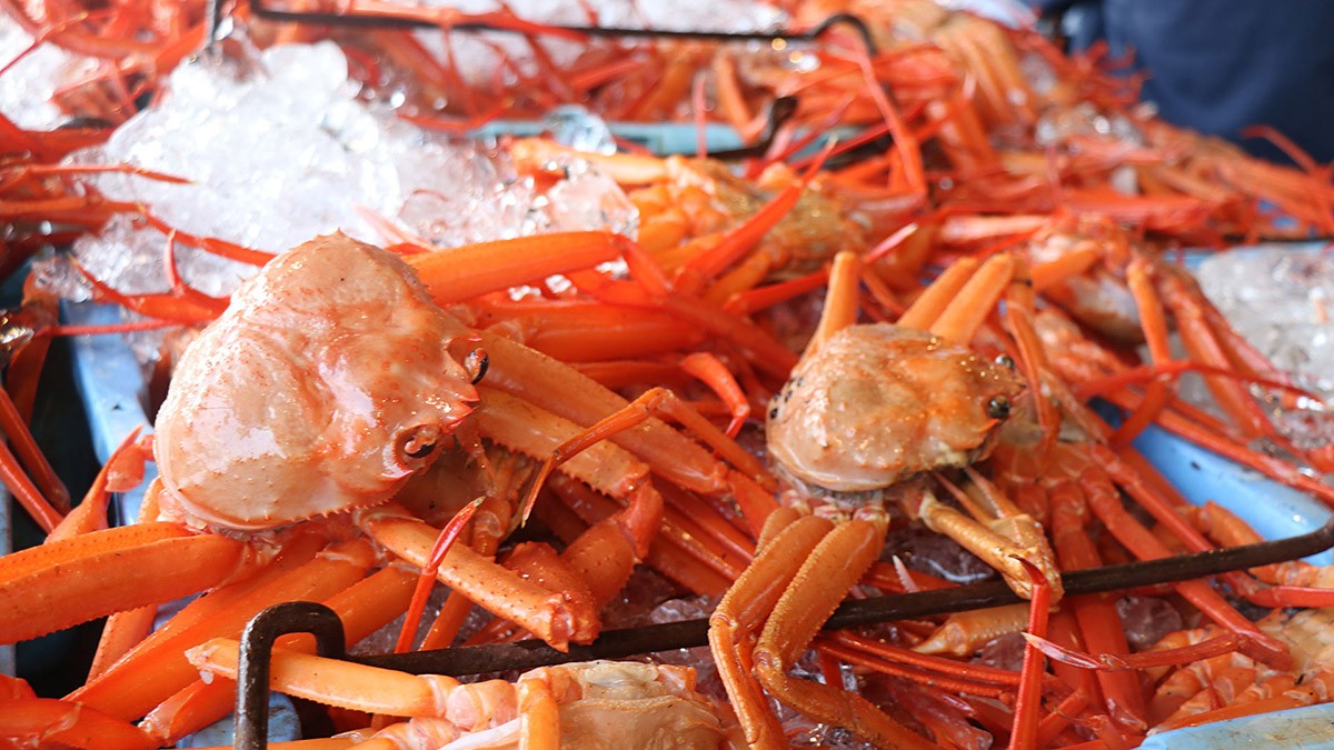 The amount of tuna and crab caught is amazing! If you go to Sakaiminato, you definitely want to try seafood!
