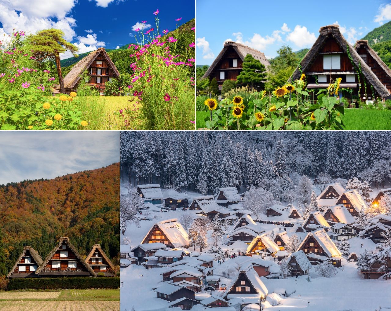 白川郷合掌造ฟสัมผัสประสบการณ์เตาไฟอิโรริแบบดั้งเดิมในบ้านทรงกัสโชสึคุริของชิราคาวาโกะりで伝統の囲炉裏端体験