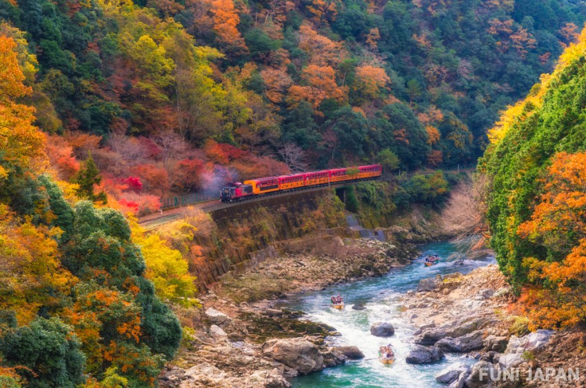 When is the best time to see autumn leaves in Japan?
