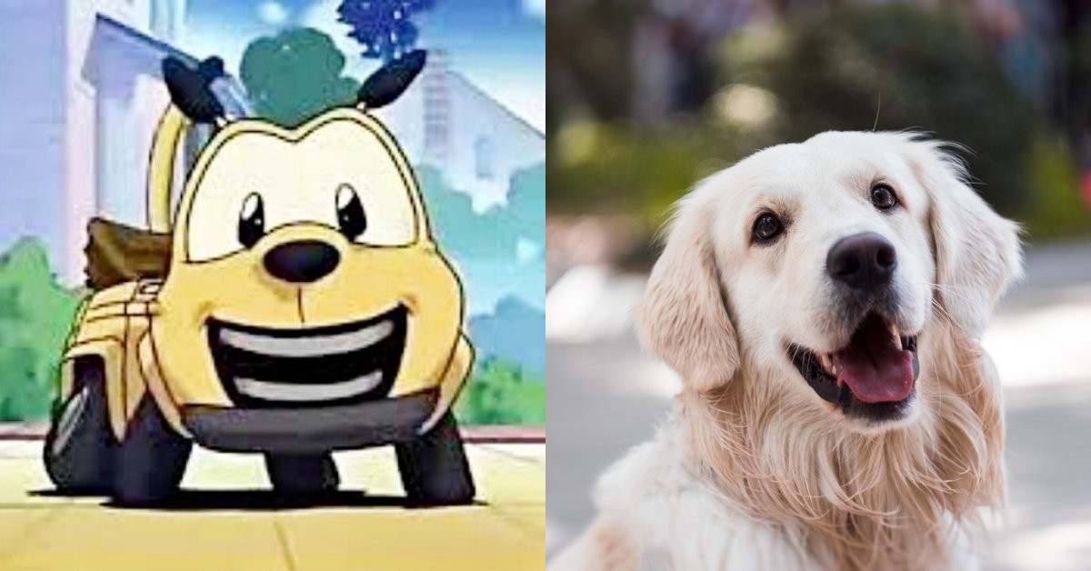 卡通狗狗品種1.布布恰恰：黃金獵犬