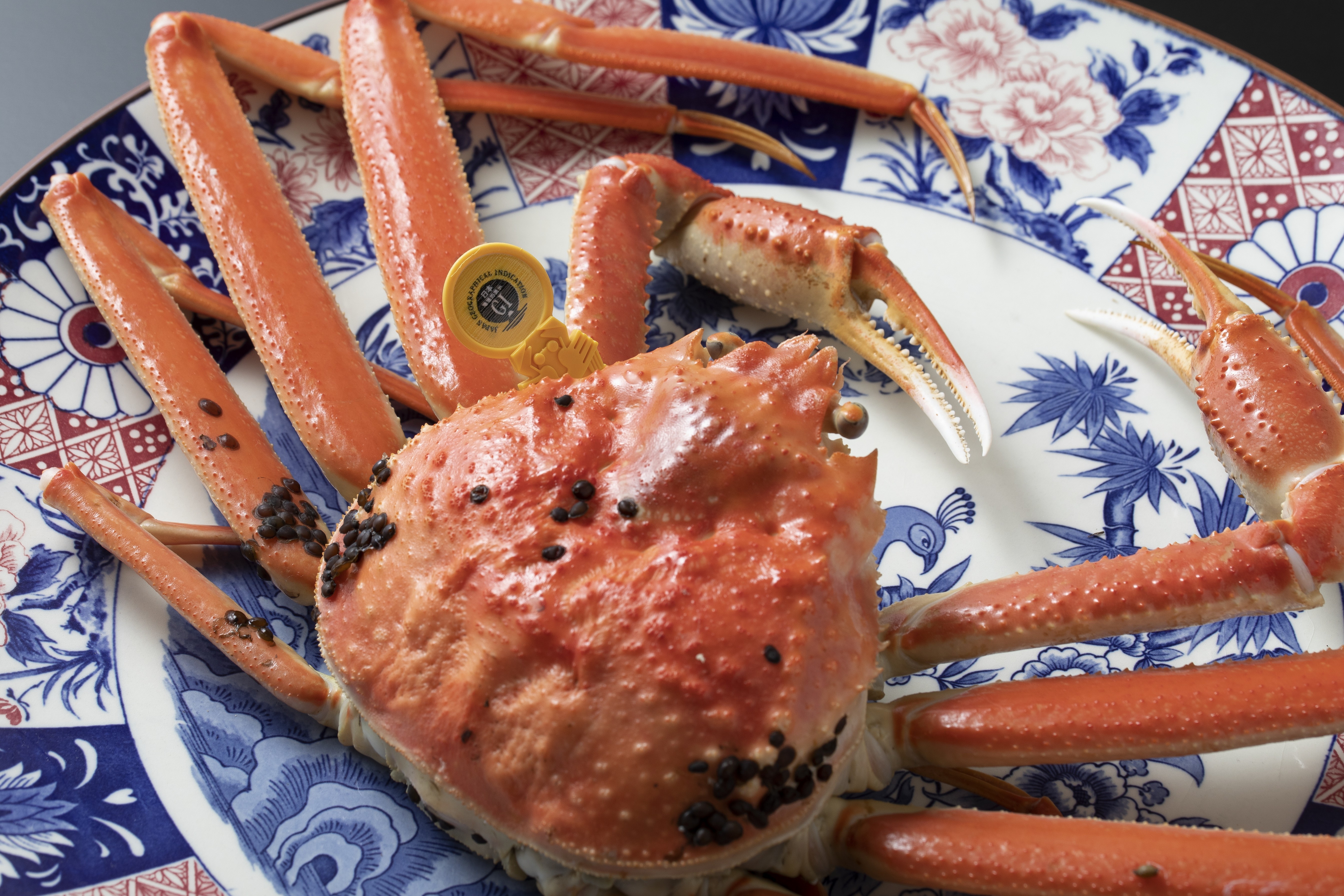 How to distinguish Fukui Prefecture's delicious Echizen crab?