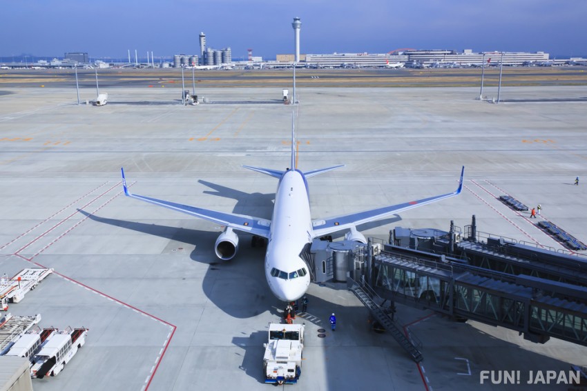 日本ではどんな航空会社が国内線を運航しているの？  