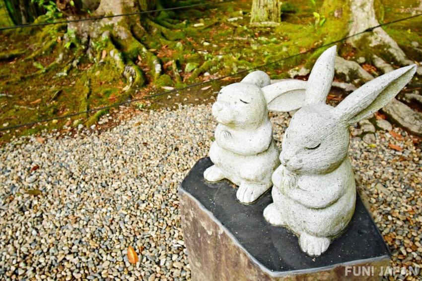 因幡白兔傳說聖地：必訪鳥取縣最強結緣景點「白兔神社」、絕美「白兔海岸」！
