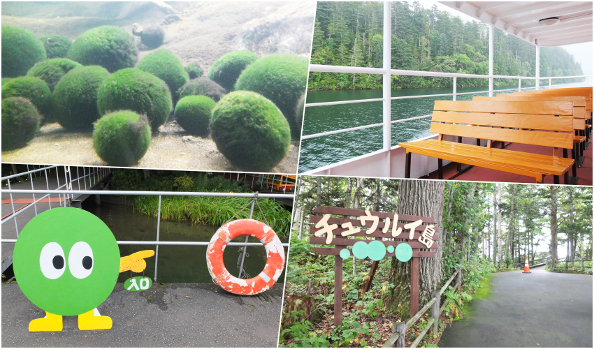 搭乘阿寒湖遊覽船 觀賞特別天然紀念物「綠球藻」