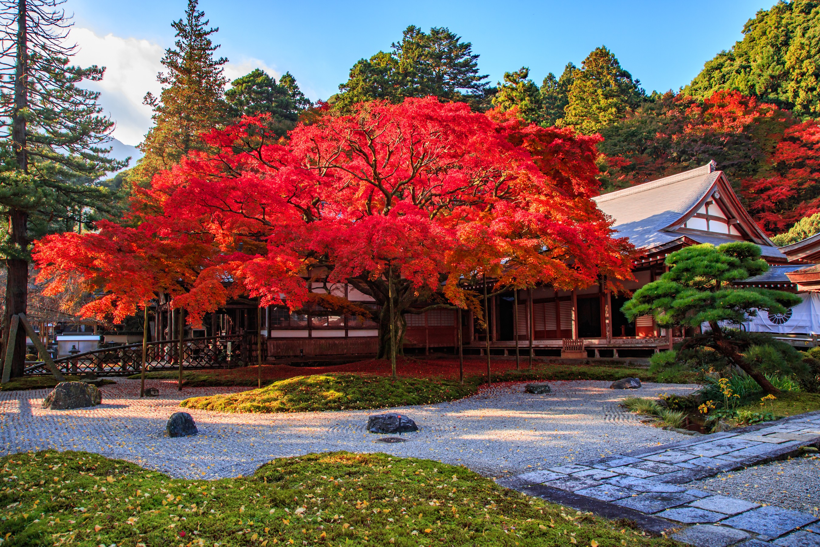 雷山千如寺大悲王院