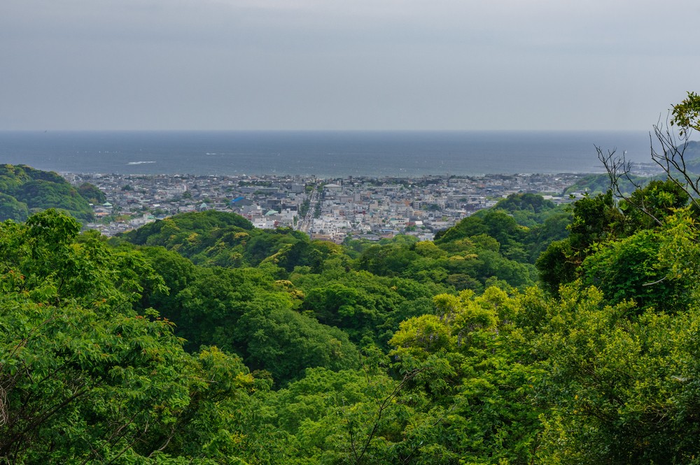 Nào mình cùng du lịch dã ngoại Kamakura! Hoạt động leo núi tham quan các địa điểm nổi tiếng 