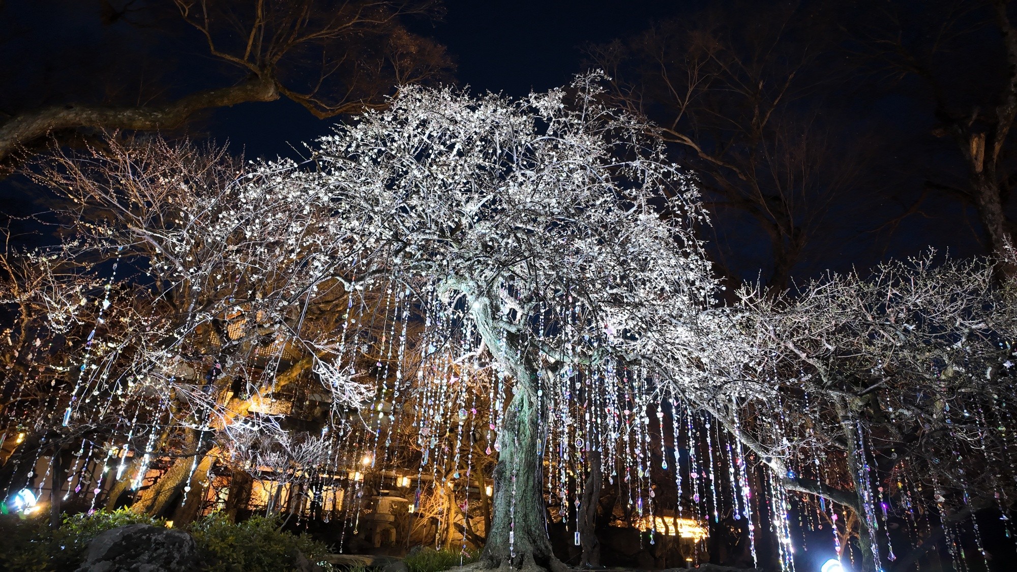 KYOTO NIPPON FESTIVAL 2026