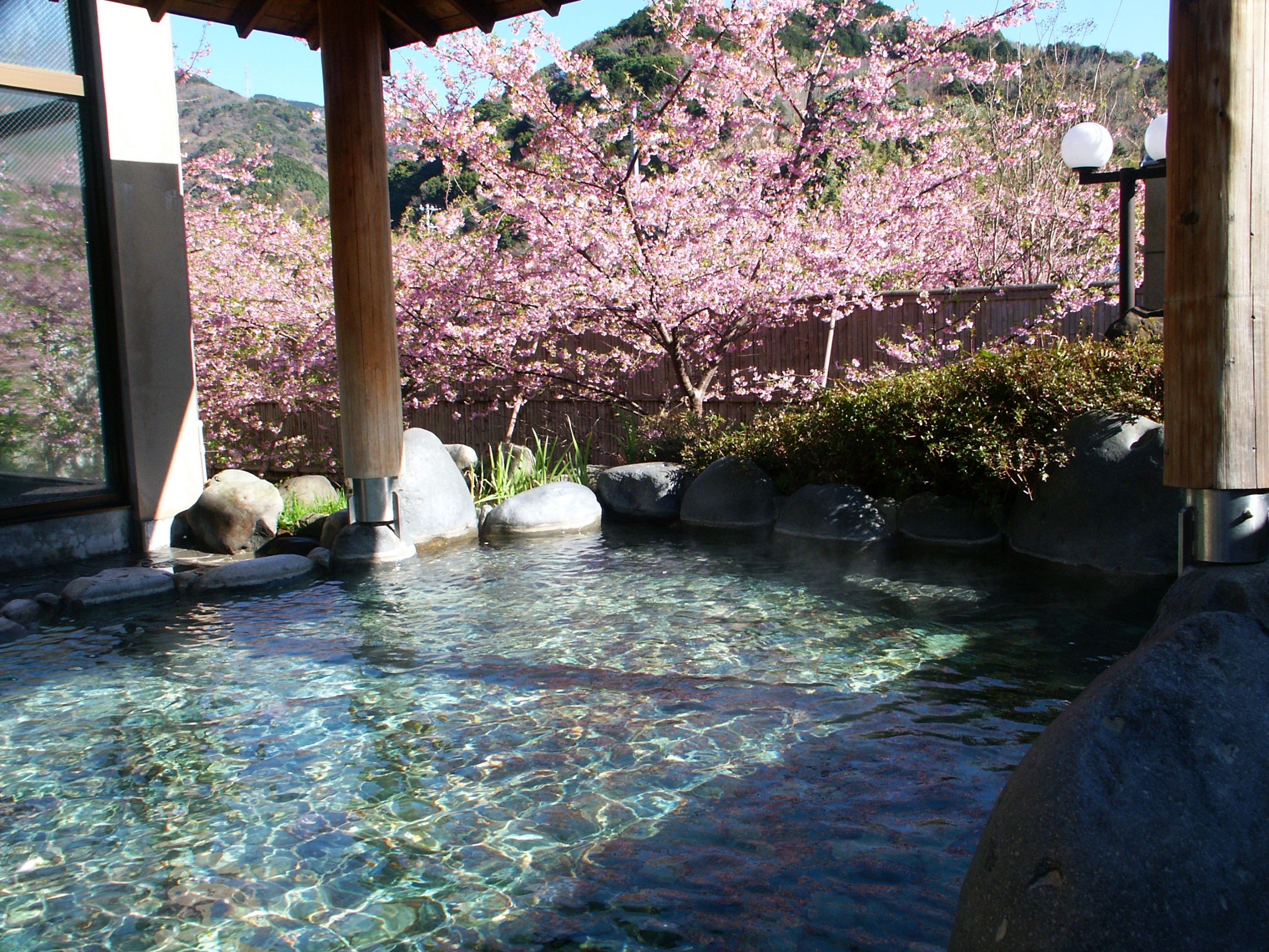 Odoriko Onsen Kaikan (Women’s Baths)