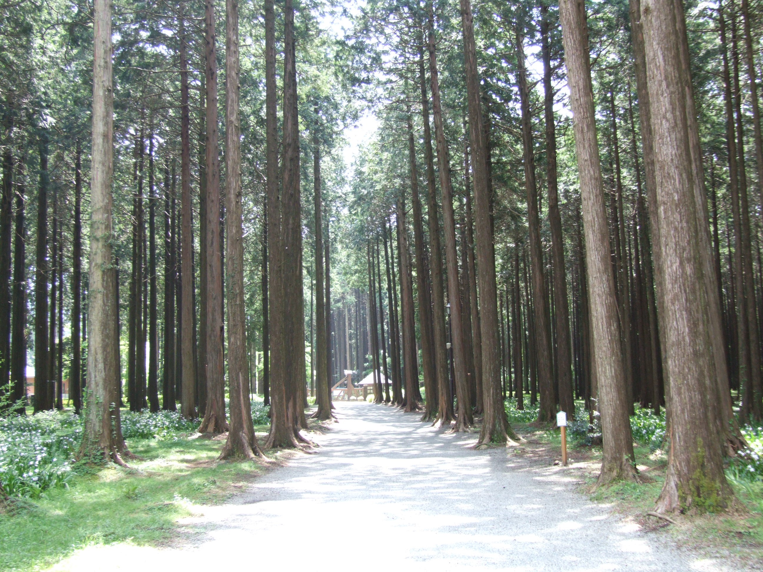 Chichibunomiya Memorial Park