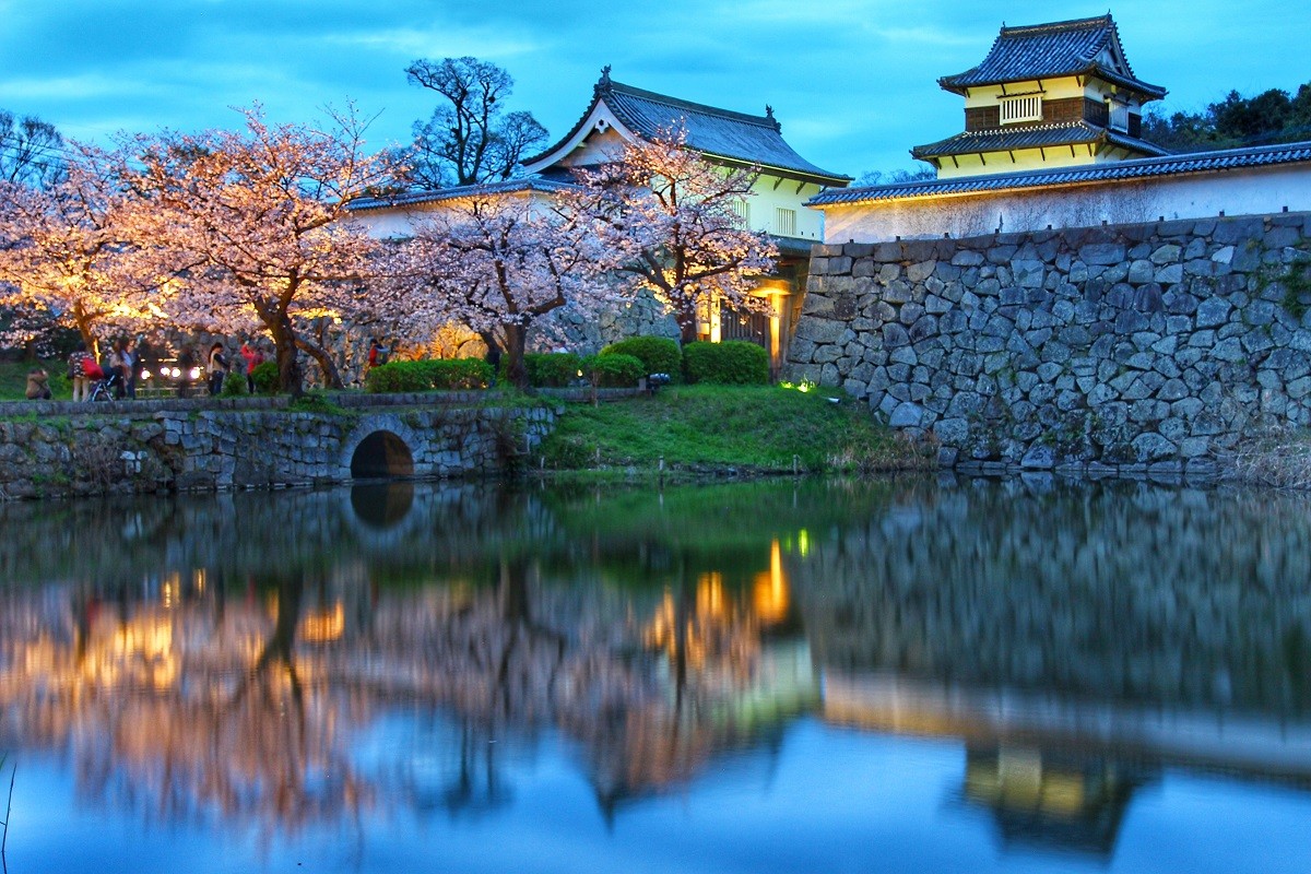 สถานที่ชมดอกซากุระขึ้นชื่อแห่งฟุกุโอกะ แห่งที่ 1: เทศกาลซากุระปราสาทฟุกุโอกะ