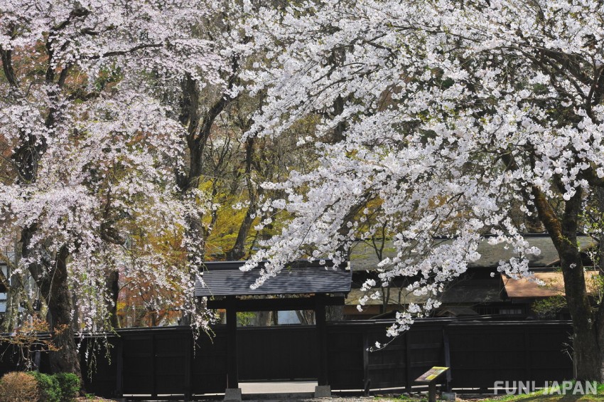 Akita Prefecture: Kakunodate Samurai Residences