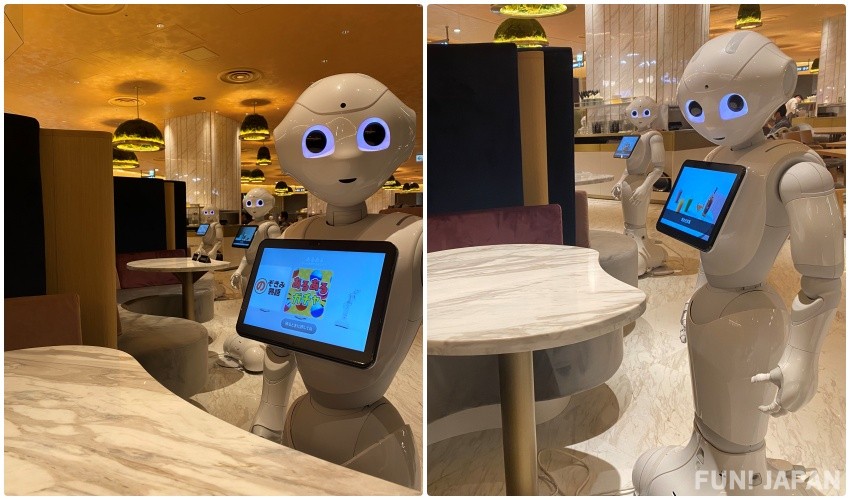 Peppers Share a Table, Chat, and Play with You, While NAO Dances Once an Hour