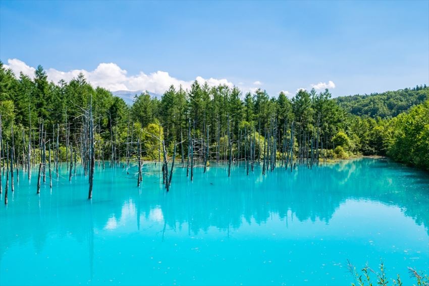 The Blue Pond of Furano