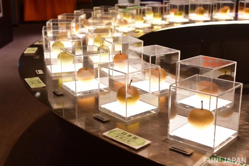 Nijisseiki Pear Museum: A museum where children and adults can enjoy learning about pears