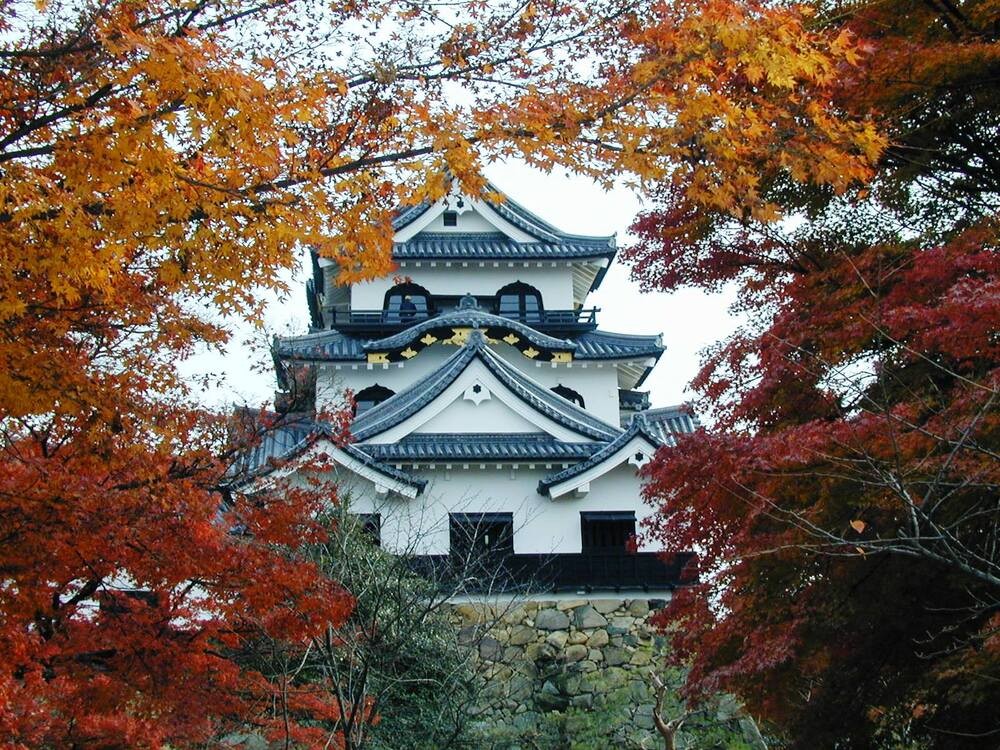 Koto & Higashi Omi Area: Historic towns such as Hikone Castle and Hachimanbori