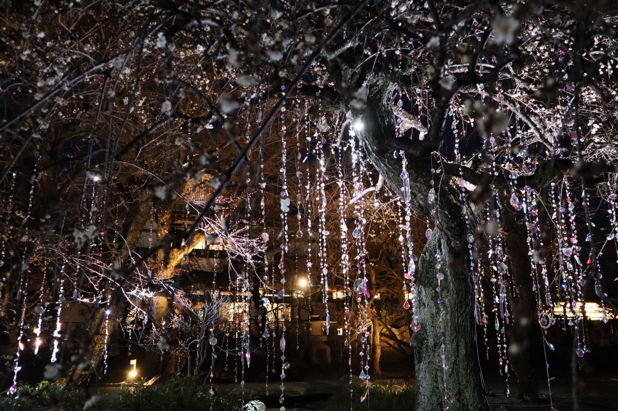 KYOTO NIPPON FESTIVAL 2026