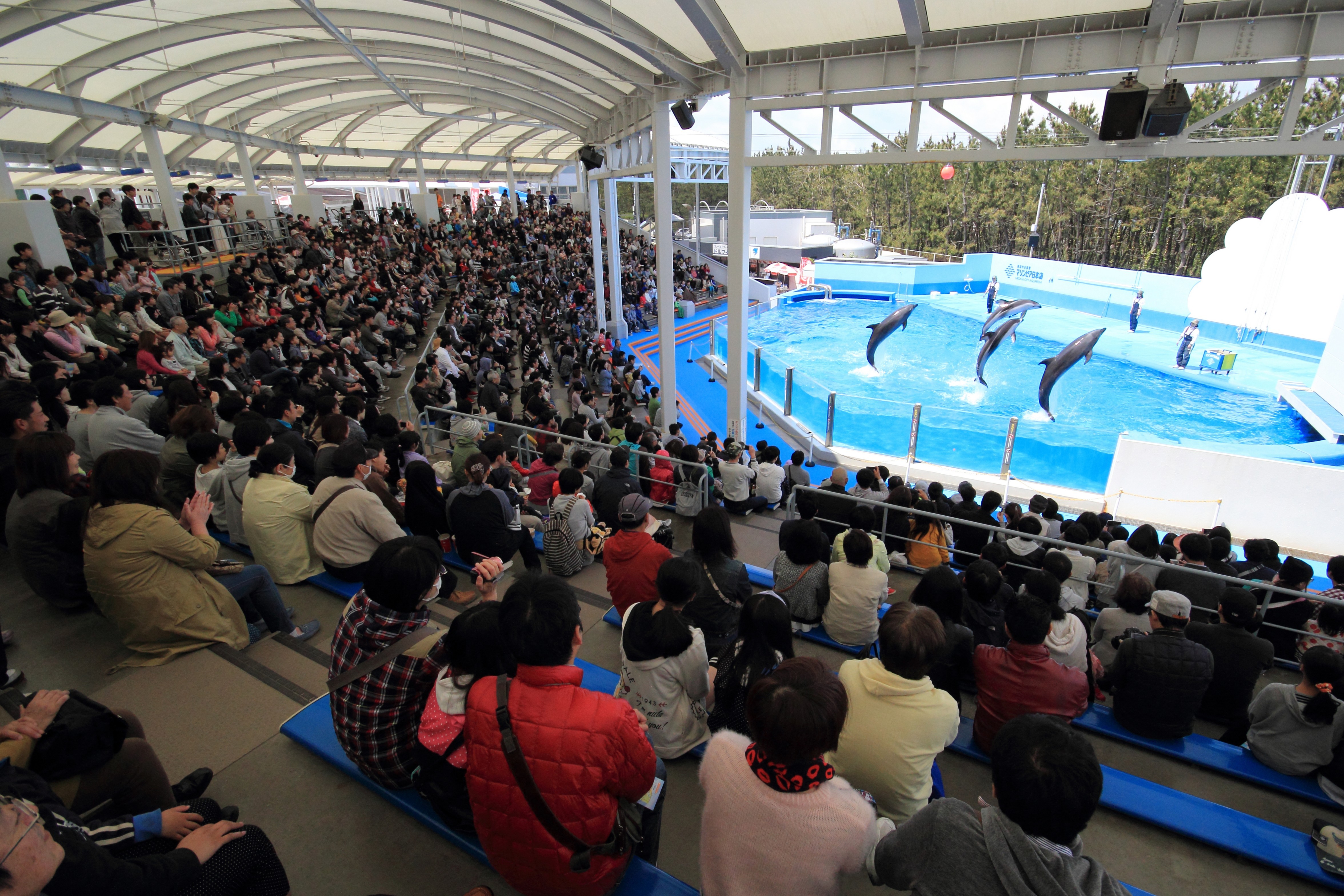 Niigata City Model Course Recommended Spot 2: Niigata City Aquarium Marinepia Nihonkai