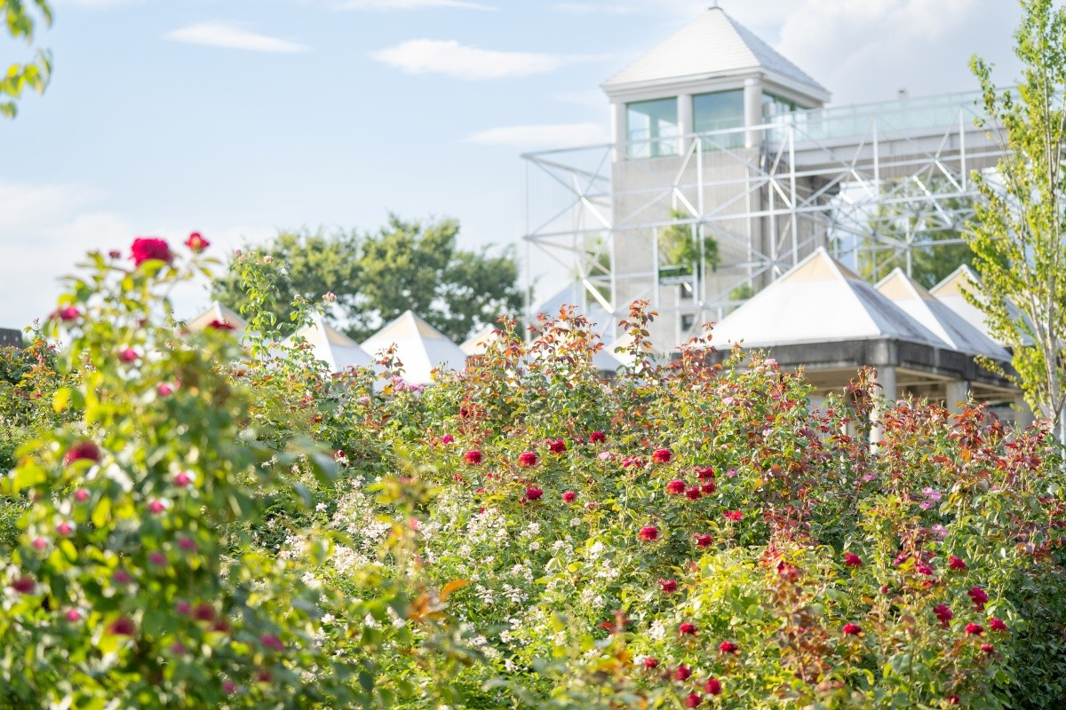 Gunma Flower Park + Main Flower Garden in the 'HANA' Area