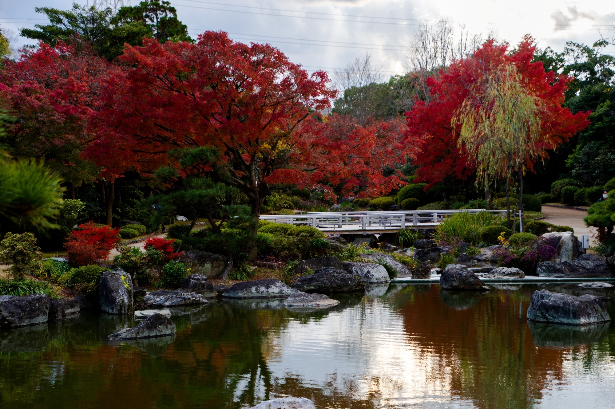 大仙公園日本庭園