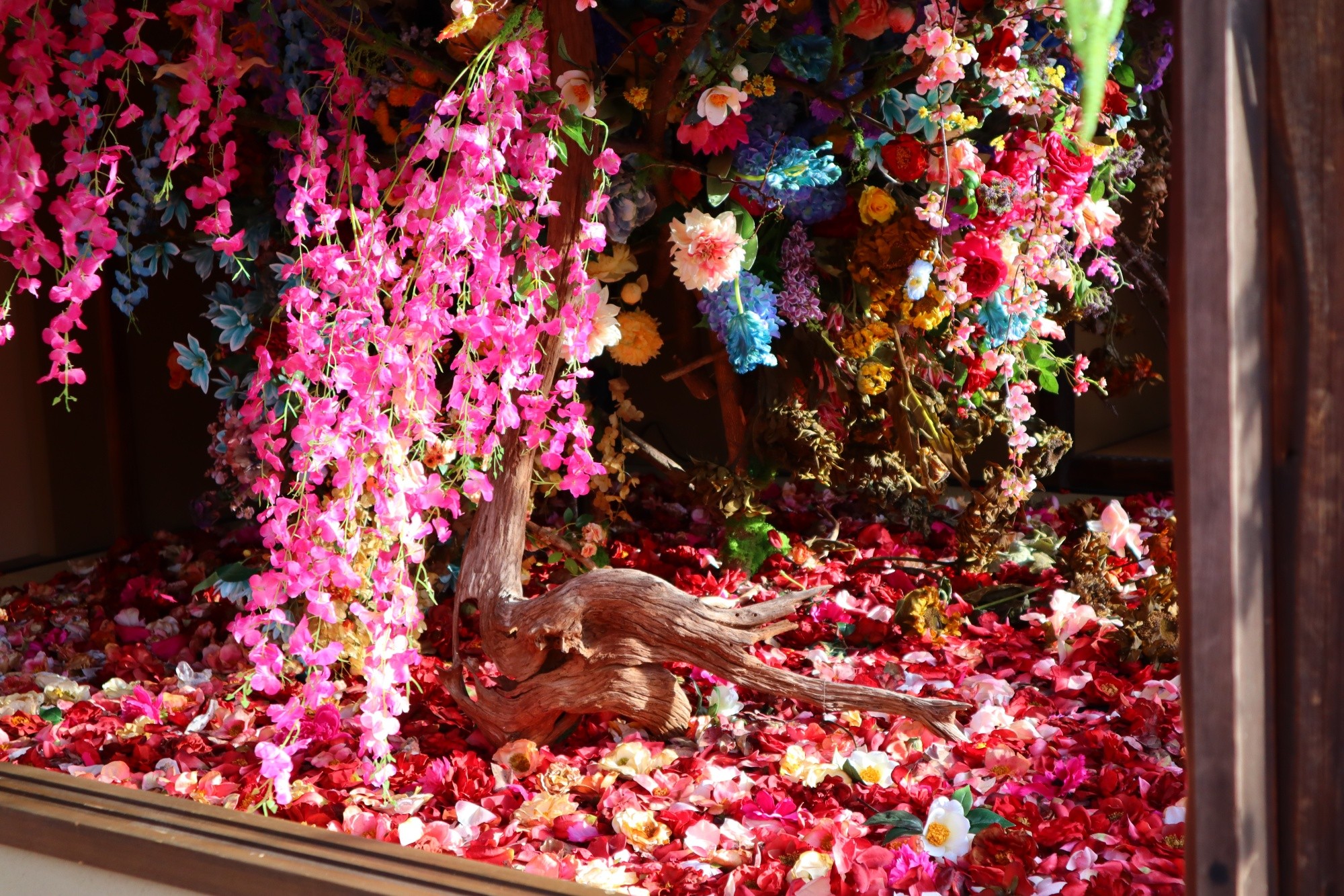 KYOTO NIPPON FESTIVAL 2026