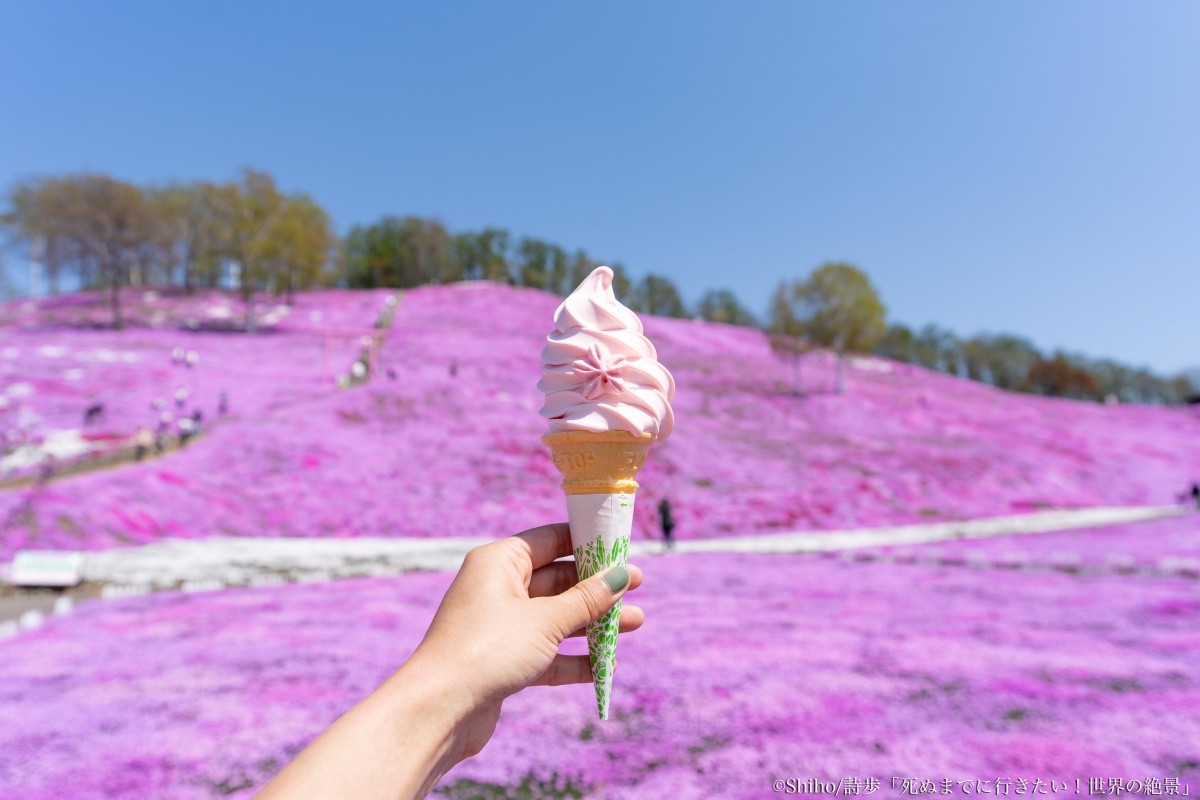 北海道網走「東藻琴芝櫻公園」