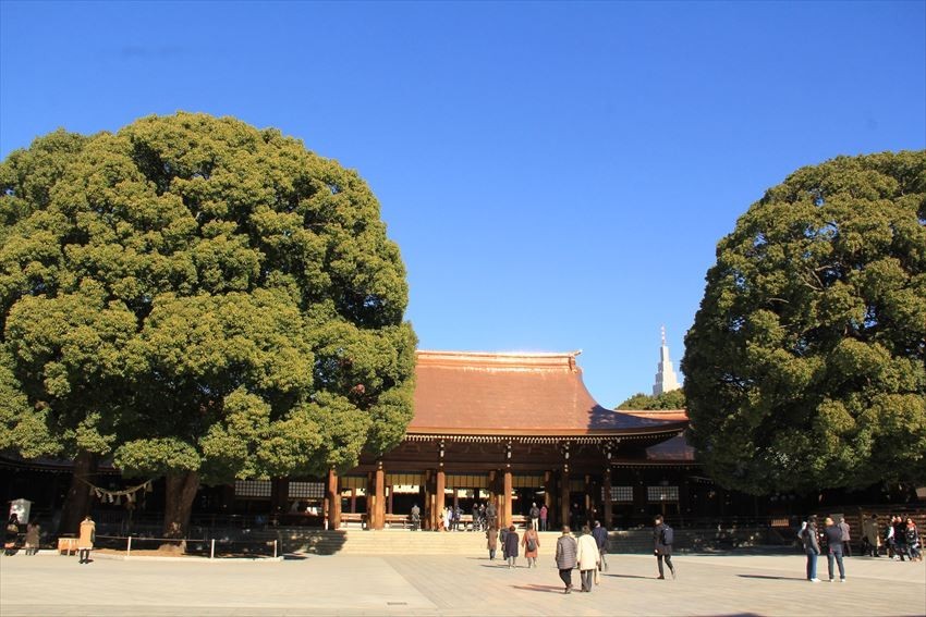 Meiji Shrine, a magnificent place to stop by if you are visiting Shibuya and Harajuku area 