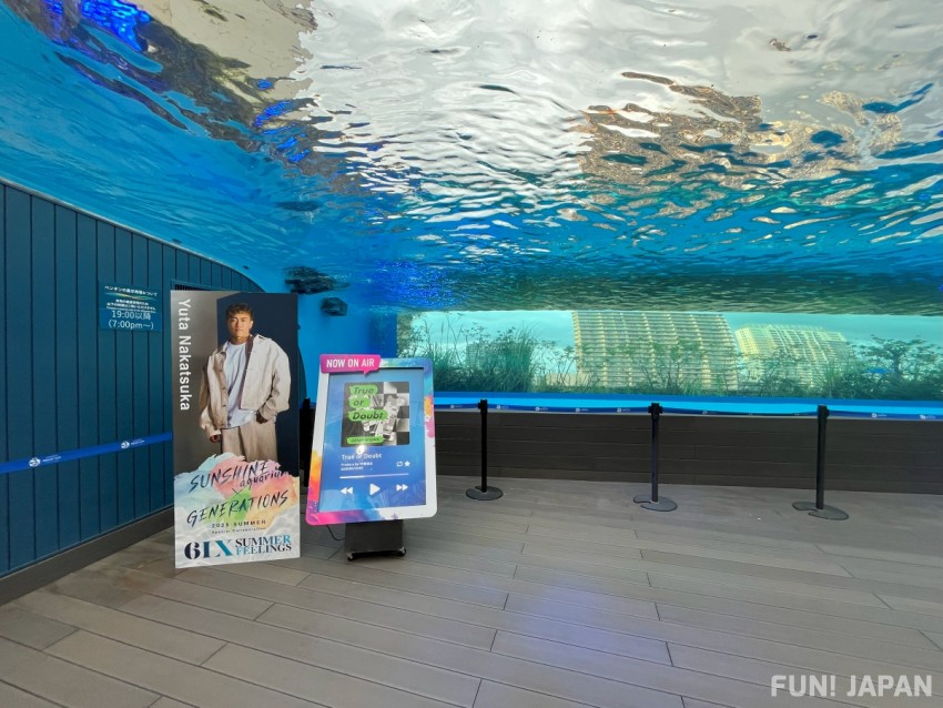 「サンシャイン水族館×GENERATIONS」のコラボイベント 「天空のペンギン」中務裕太さんがプロデュースした「True or Doubt」