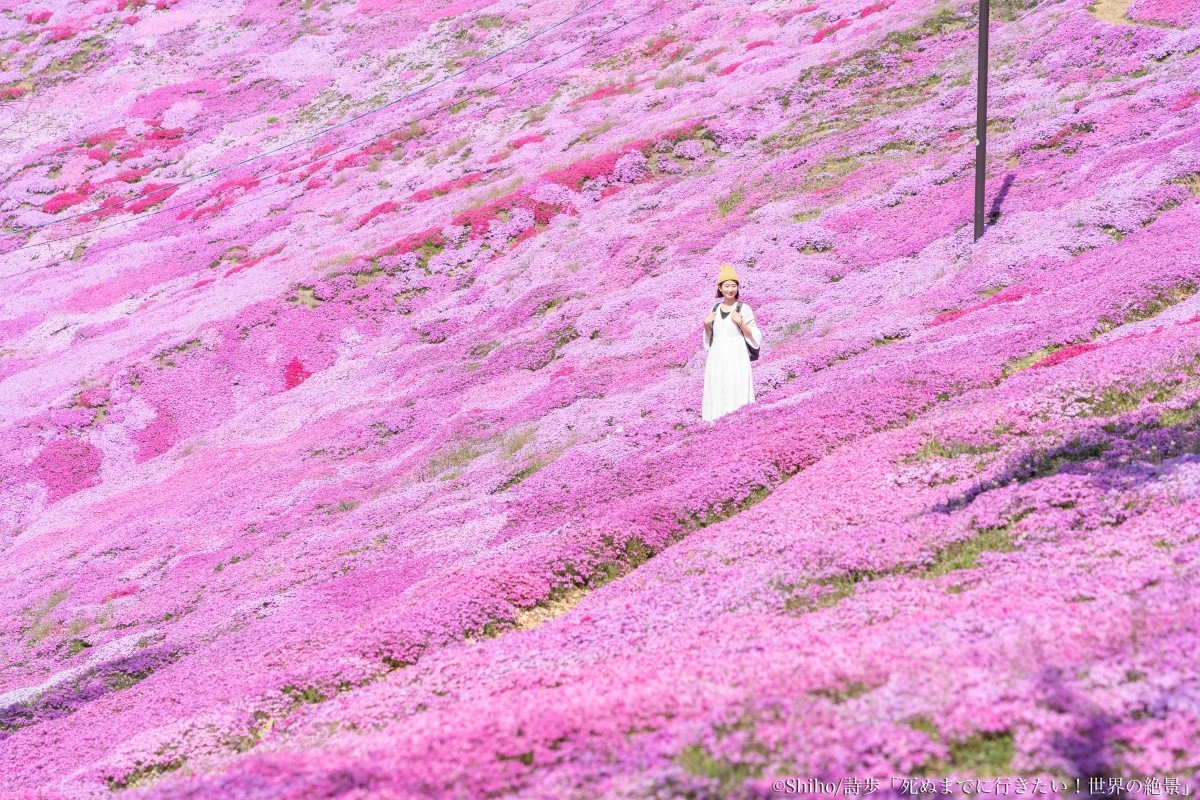 北海道網走「東藻琴芝櫻公園」