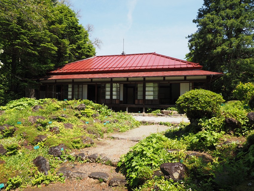 About Nikko Botanical Garden