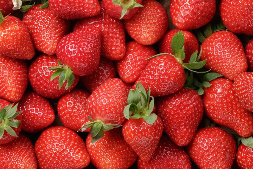 Japan-Fruits-Strawberry-01