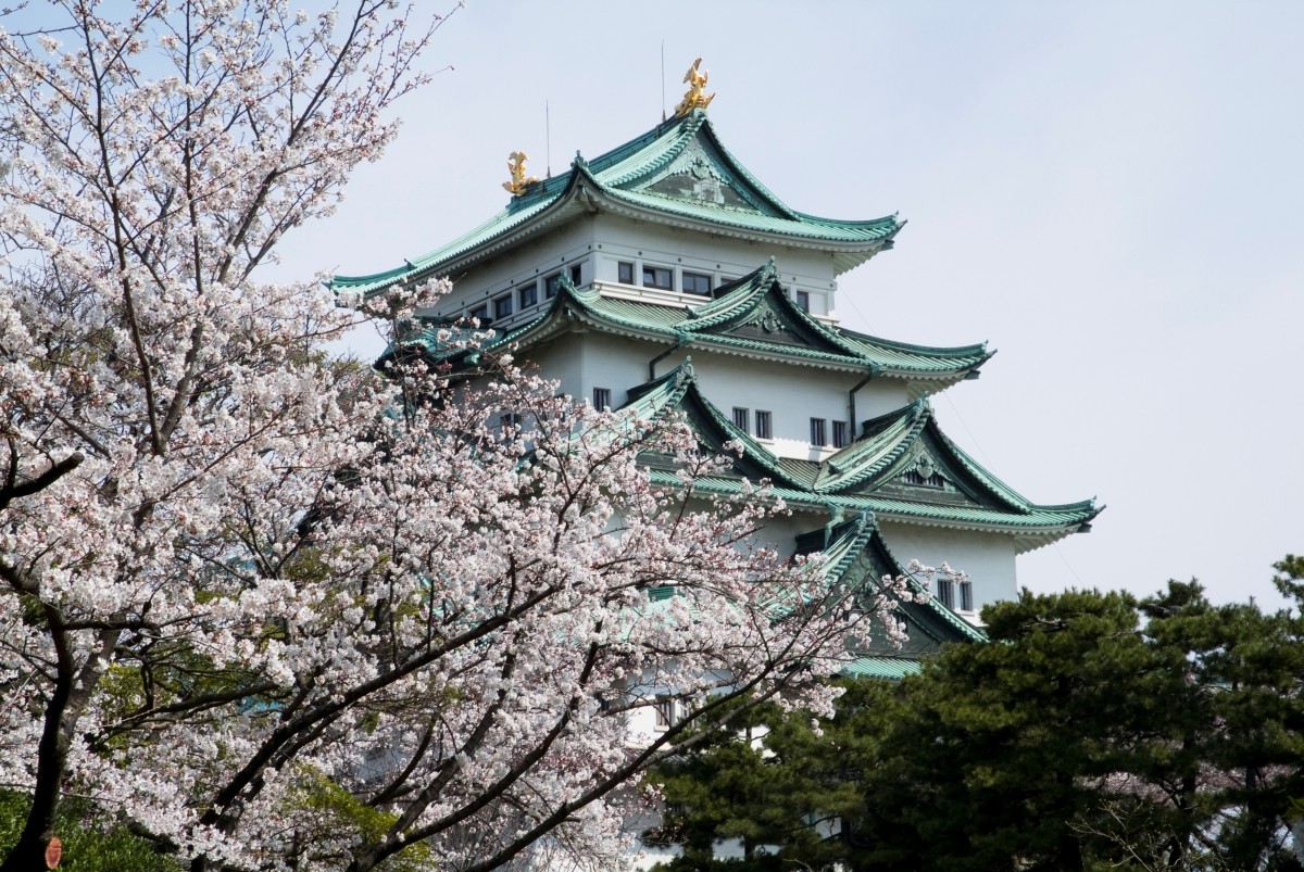 豐臣博物館門票資訊