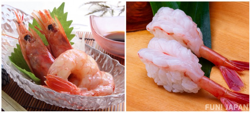 Sweet Shrimp (アマエビ-Amaebi)