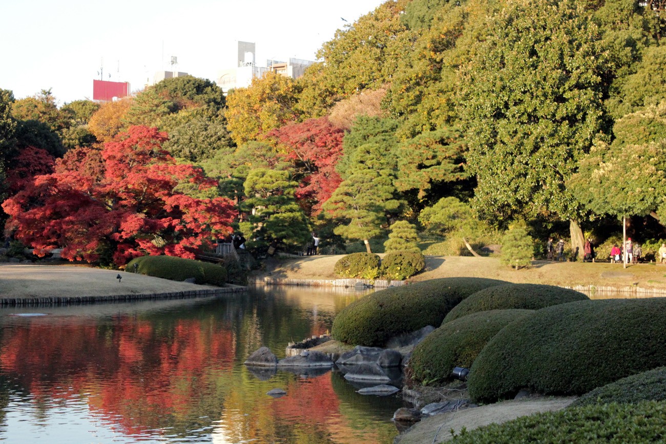 Rikugien Momiji Tokyo