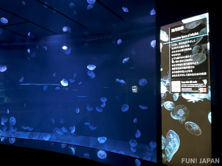 「サンシャイン水族館×GENERATIONS」のコラボイベント 海月空感「クラゲパノラマ」水槽