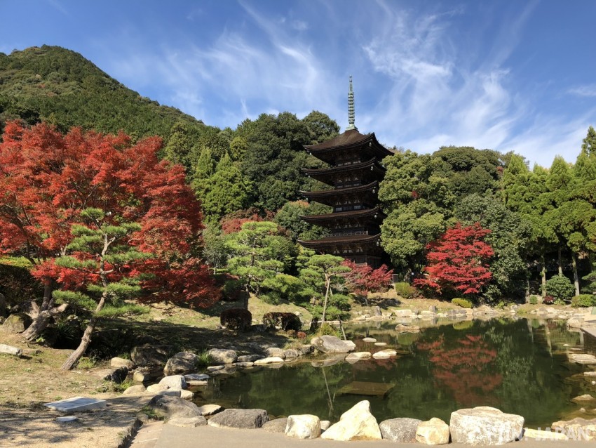 (Yamaguchi City) Rurikoji Temple: A national treasure and one of Japan's Three Great Pagodas