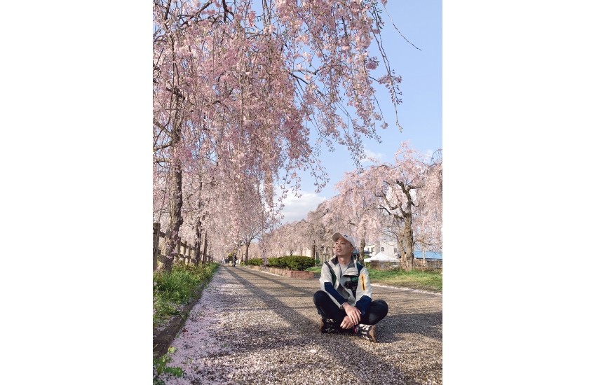 【Tohoku】Impressed by the Beautiful Cherry Blossom Trees