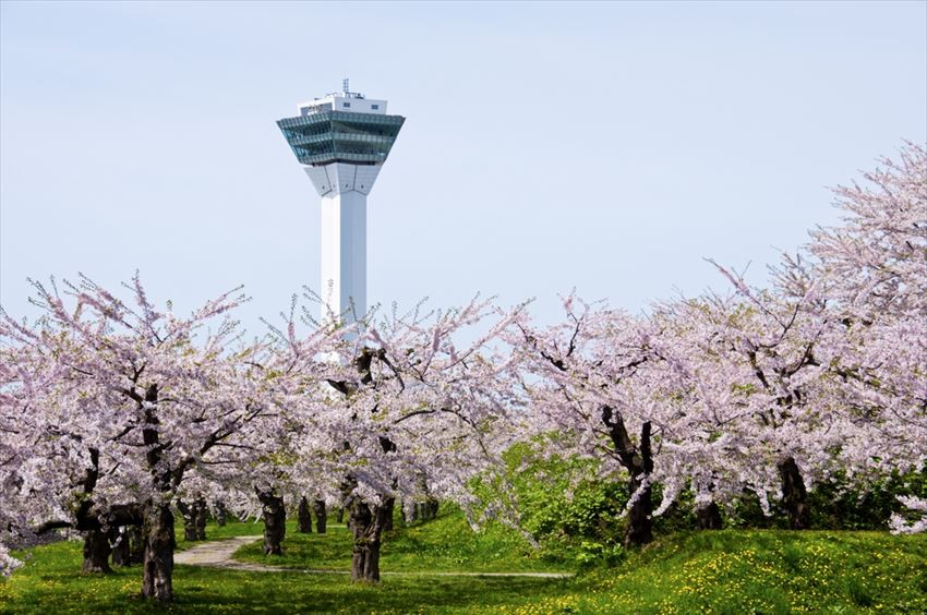 Recommended Clothes and how to enjoy your trip at Hakodate in spring! 