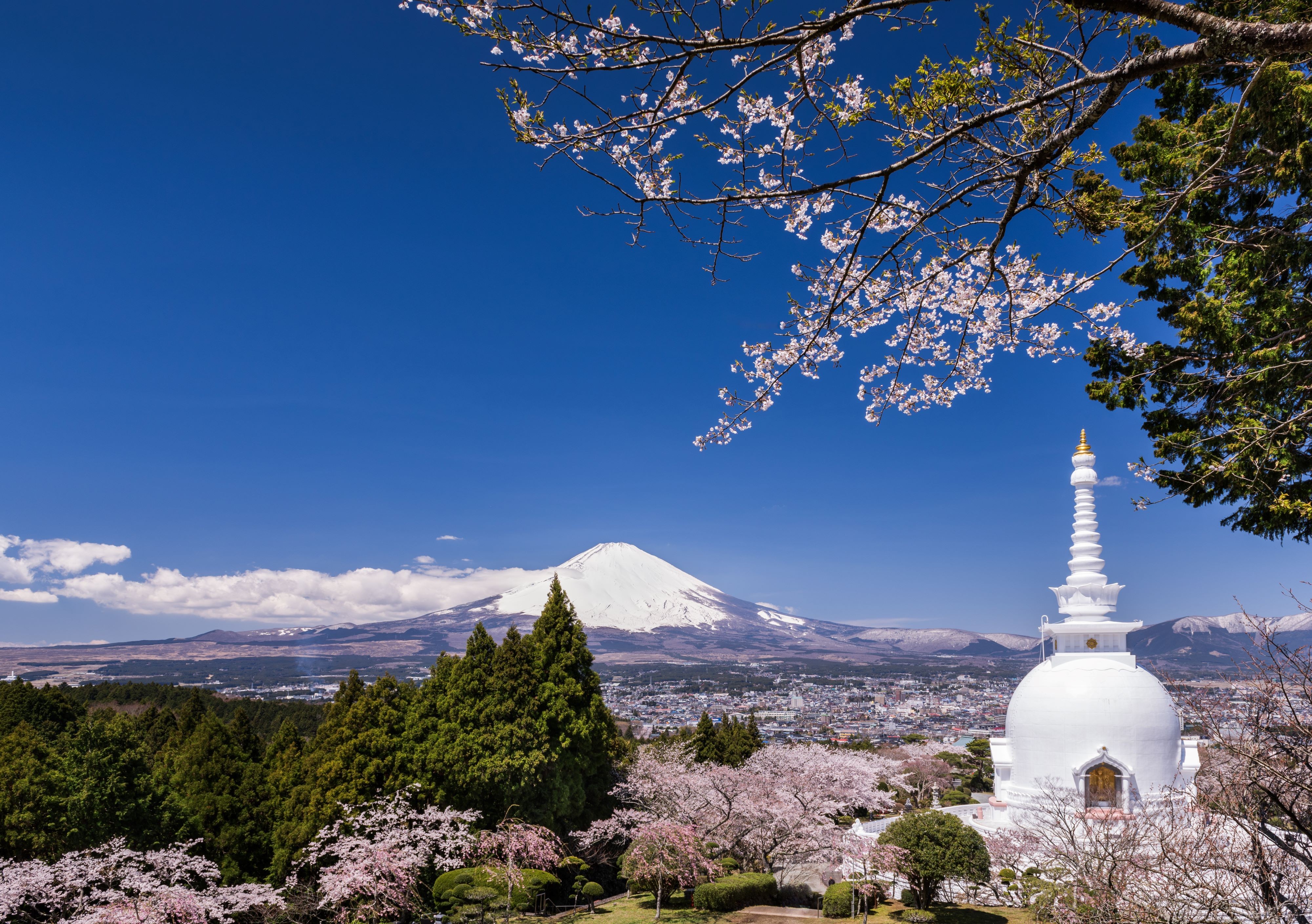 Taman Perdamaian Stupa Fuji