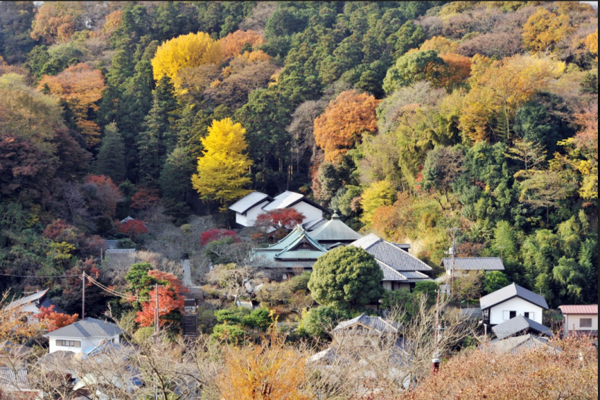 Thông tin về chùa Tokeiji