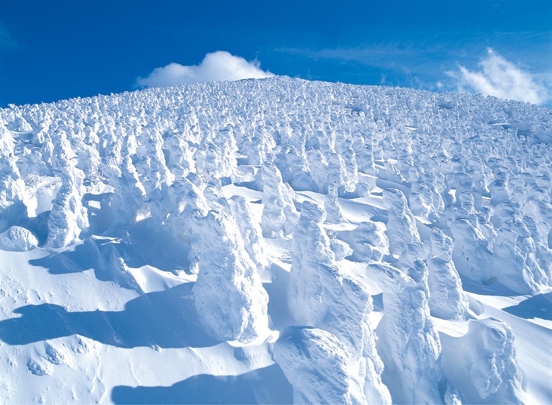 東北雪祭 山形縣 蔵王樹冰祭 樹冰燈飾