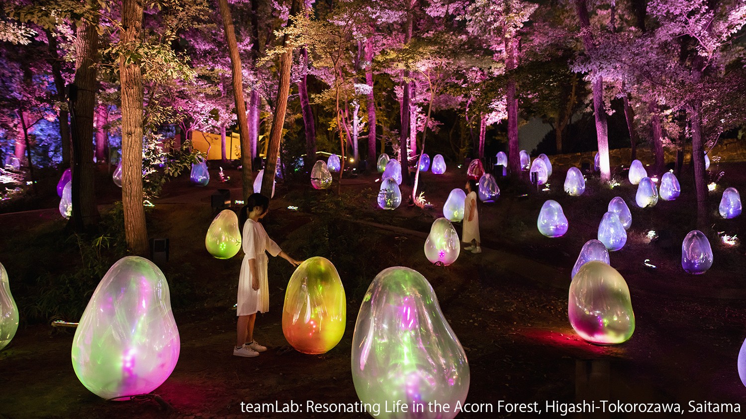 Also recommended: teamLab's new permanent exhibition at Musashino Woods Park